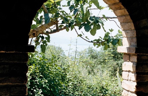 Passignano sul Trasimeno Apartment | Romantic located vacation flat above the Trasimeno Lake