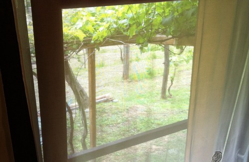 San Secondo di Pinerolo House | Romantic cottage in the vineyard, Pinerolo, only adults