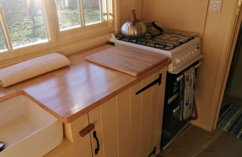 Bude Cabin | Romantic Apple Tree Shepherd's Hut with optional hot tub and shared EV charger.