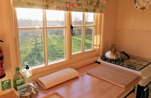 Bude Cabin | Romantic Apple Tree Shepherd's Hut with optional hot tub and shared EV charger.