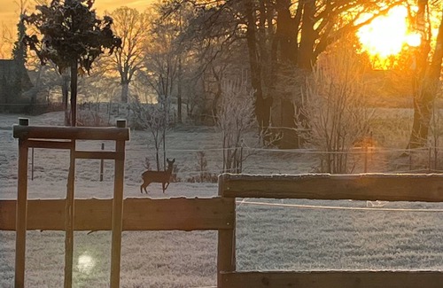 Mettingen Apartment | Romantic country house vacation apartment Relax with pony rides, carriage rides