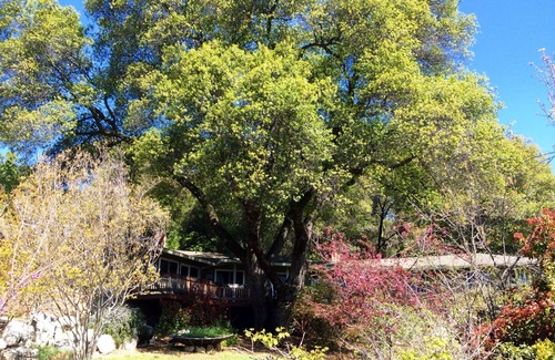 Murphys Apartment | Romantic Get-A-Way close to nature.