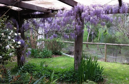 Talunga House | Romantic Loft Stays - Adelaide Hills - Randell's Mill - Tuscan Rustic