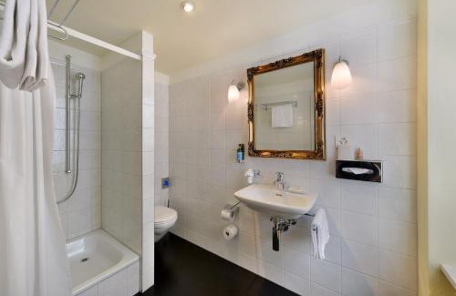 Horgen District Hotel | Romantik Hotel Schwan