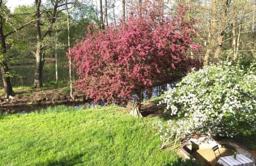 Laasow House | Romantische Ferienwohnung im Herrenhaus Wüstenhain Spreewald