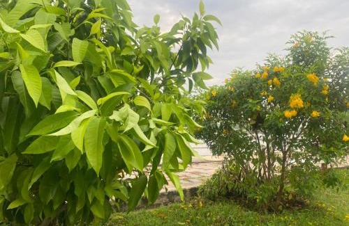 Uthai Thani House | Romyen House