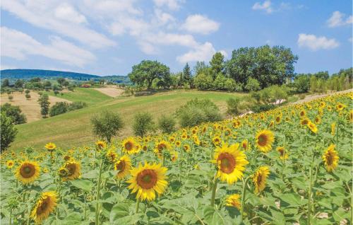 Cagli House | Rondine