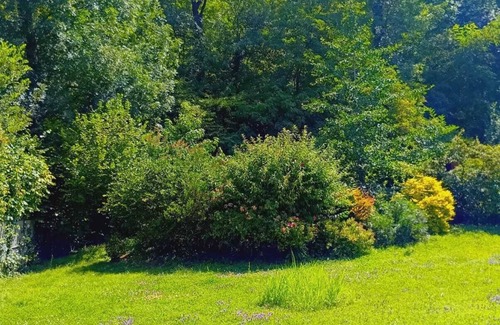 Fontanil-Cornillon House | ROOM FOR RENT NEAR GRENOBLE STREETCAR E