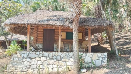 Damian Carmona House | Room in Cabin - Cabins Sierraverde Huasteca Potosina sierra cabin