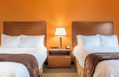 Rapid City Hotel | Room Near WaTiki, Dino Park, and Reptile Gardens! Pets Allowed! With Kitchen!
