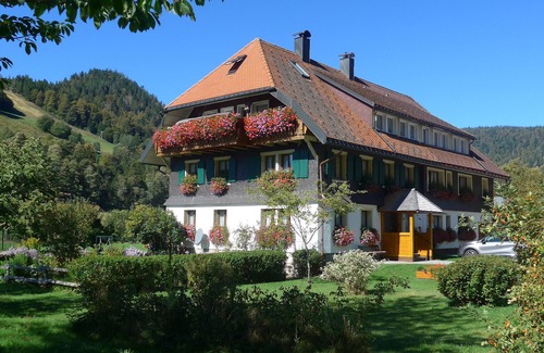 Menzenschwand-Hinterdorf Apartment | Room 'Zimmer 1' with Mountain View, Shared Terrace and Wi-Fi