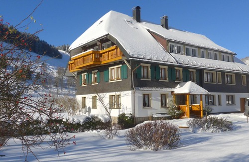 Menzenschwand-Hinterdorf Apartment | Room 'Zimmer 1' with Mountain View, Shared Terrace and Wi-Fi