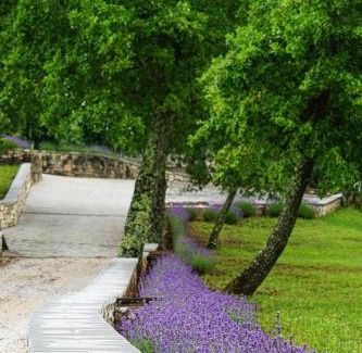 Sterna Bed & Breakfast | Rooms Stancija Ruseti