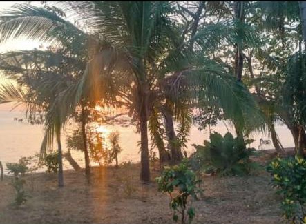 Merida Bed & Breakfast | Rosa's Lake Cabins