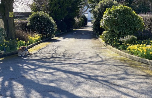 Donaghadee Cottage | Rose Cottage Captivating 1-bed Cottage in Bangor