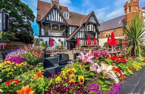 Beverley Apartment | Rose & Crown Rooms