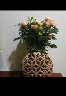 Bac Ninh Apartment | Rose house