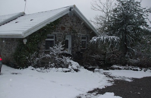 Cadoxton House | rose lodge 3bedroom 3 bathroom lodge located in woodland area