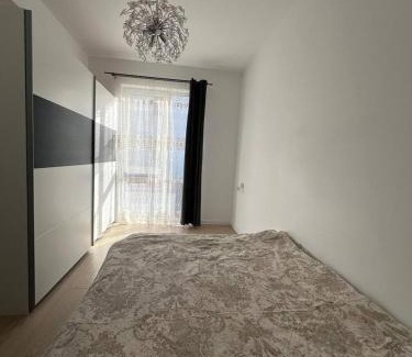 Timisoara Apartment | Rose Residence