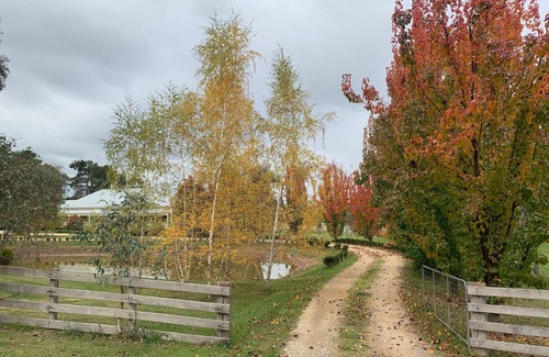 Mansfield House | Rosedale House Mansfield Group Accommodation