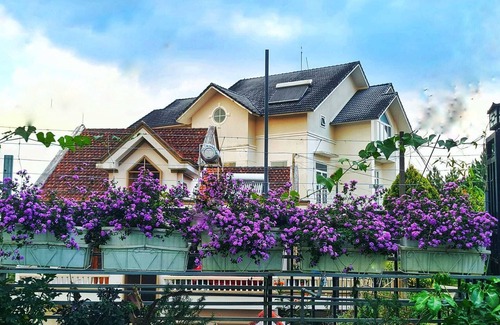 Phuong Villa | Rosemary Home - Nha Huong Thao brings you to the Dalat life.