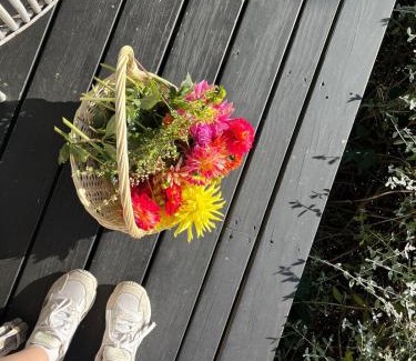 Stanmore Bay House | Rosies cottage hideaway in Stanmore Bay with lovely seaview