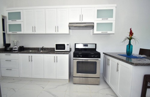 El Pueblito Apartment | Rosil Place, Full Apt #9 with Roof-top Ocean View