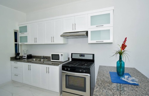 El Pueblito Apartment | Rosil Place, Full Apt #9 with Roof-top Ocean View