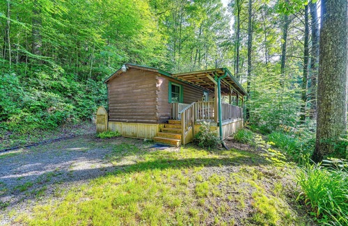 Rosman Apartment | Rosman Vacation Rental w/Charcoal Grill!