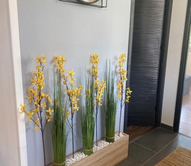 Solt Apartment | Rosmary Cottage