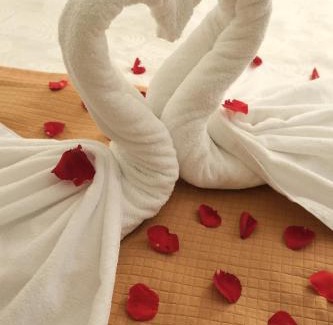 Rosslyn Hotel | Rosslyn Inn & Suites