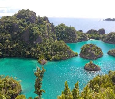 Pulau Fam House | Rosye homestay raja ampat