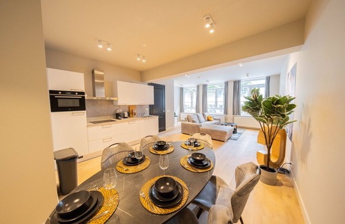 Stadsdriehoek Apartment | Rotterdam Rustique 3BDR Apartment JUF