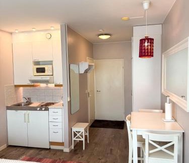Rovaniemi Apartment | Rovaniemi City Home