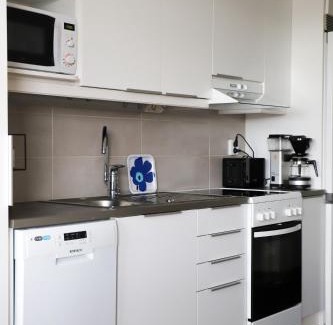 Rovaniemi Apartment | Rovaniemi Downtown Apartment