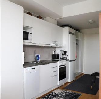 Rovaniemi Apartment | Rovaniemi Downtown Apartment