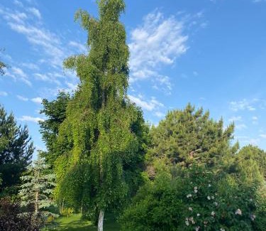 Issyk-Kul Region House | Royal Beach