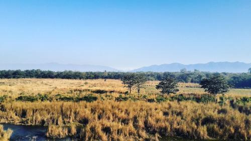 Bardia House | Royal Tiger Cottage