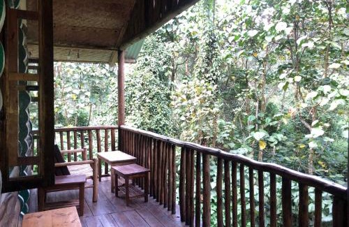 Bwindi Cabin | Ruhondeza Lodge