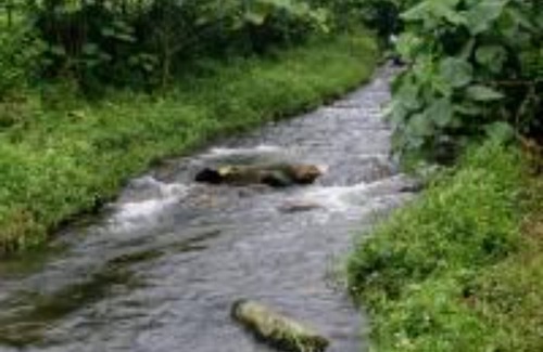 Bwindi Hotel | Ruhondeza Lodge