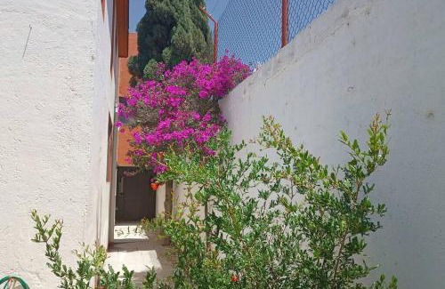 Tulancingo House | Rumbos Turísticos - casa hasta para 15 personas