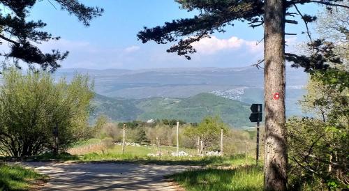 Zrenj Apartment | Rural Apartment Carolina