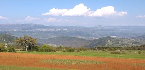 Zrenj Apartment | Rural Apartment Carolina