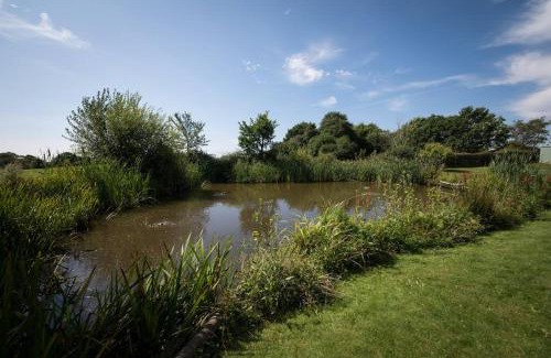 Abbess Roding House | Rural cottage with swimming pool!