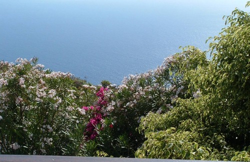 Los Quemados Cottage | Rural House in Fuencaliente, with beautiful views of the sea and the mountains