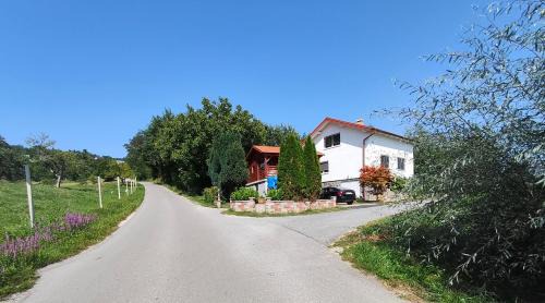 Spodnja Polskava Apartment | Rural Retreat - Comfort Oasis