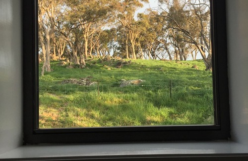 Orange House | Rural views and family friendly