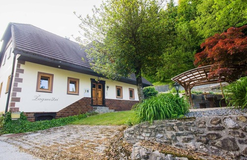 Ljubno House | Rustic Authentic Holiday Home with Terrace and Wood Stove - Three Bedroom Holiday Home with Terrace