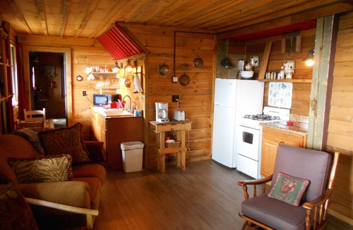 Skyland Apartment | Rustic Cabin, Appalachian Elegance, Rural But Close