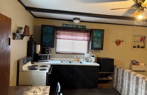 Athelstane Cabin | Rustic cabin near recreational, ATV and fishermans dream.